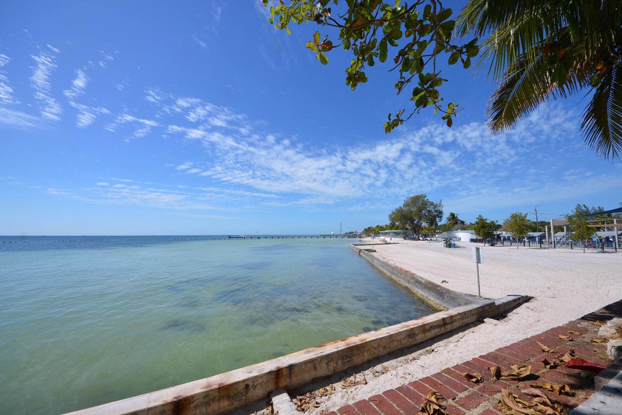 Pescado Penthouse On Duval Villa Key West Kamer foto